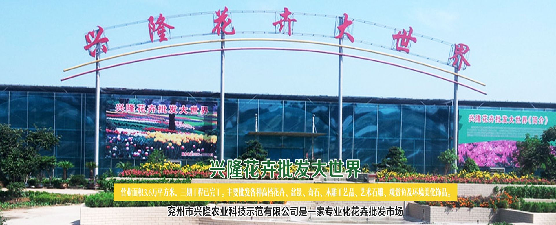 有轴和无轴设计，适用物料范围广，可以支持用户定制