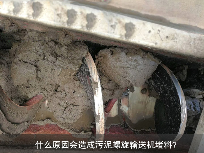 污泥螺旋输送机图片