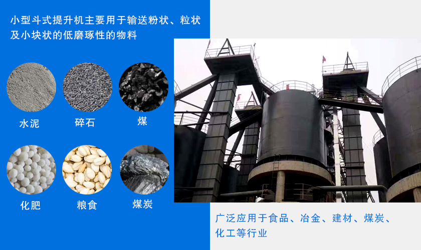 小型斗式提升机应用