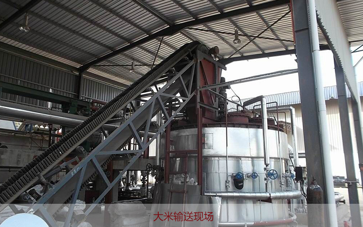  Z型提升机应用领域